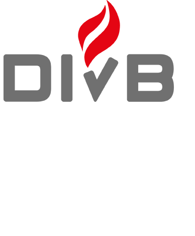 DIvB